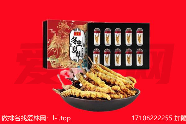 大名县回收虫草.jpg